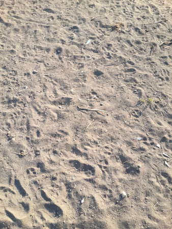 footprint on dry soil floor