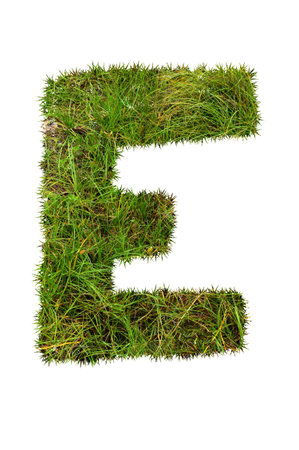 grass font - Eの写真素材