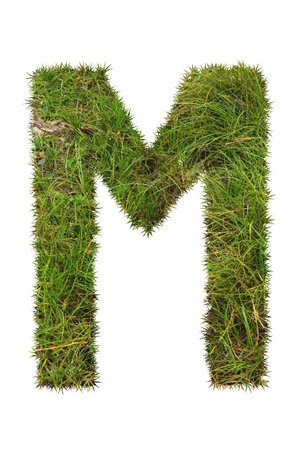 grass font - Mの写真素材