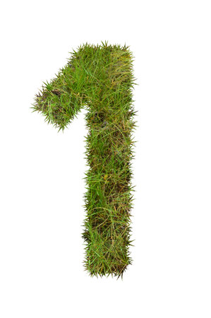 Grass number one, isolated on white background, 1の写真素材