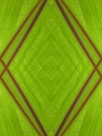 art grunge green abstract pattern illustration background