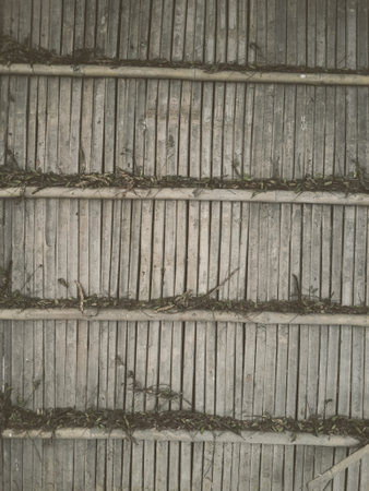 dry bamboo floor textureの写真素材