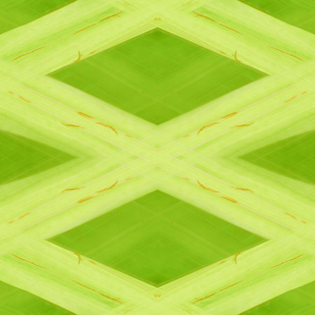 art green abstract pattern backgroundの写真素材
