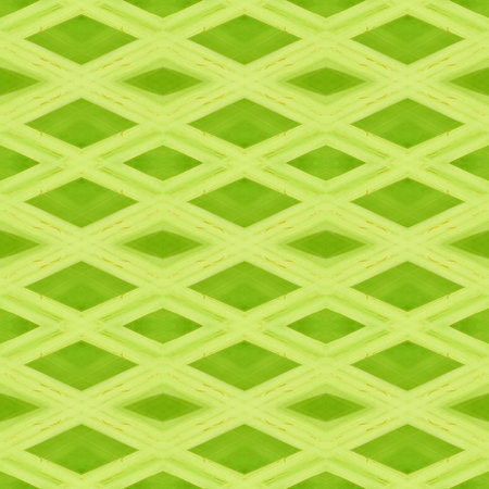 art green seamless abstract pattern illustration backgroundの写真素材