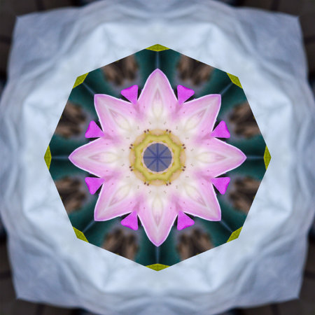 art abstract pattern illustration backgroundの写真素材