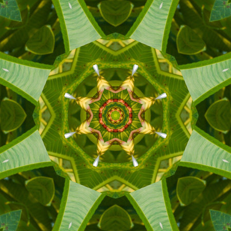 art grunge green abstract pattern illustration backgroundの写真素材