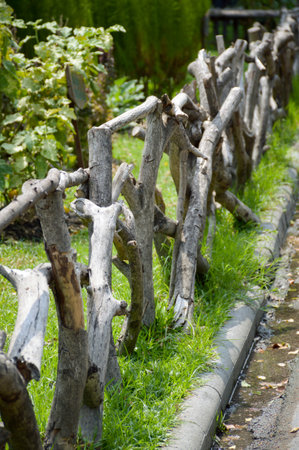 wooden fence in nature gardenの写真素材