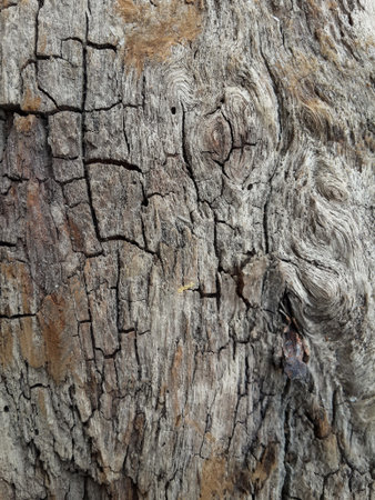 old wooden plank texture backgroundの写真素材