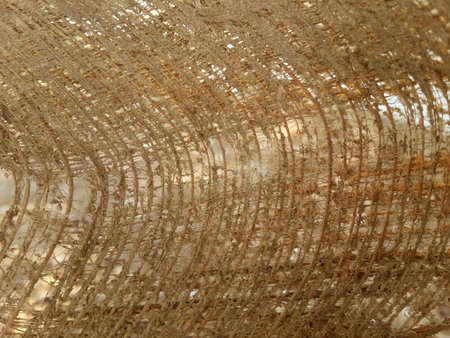 coconut bark texture
