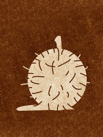 art rambutan on grunge brown backgroundの写真素材