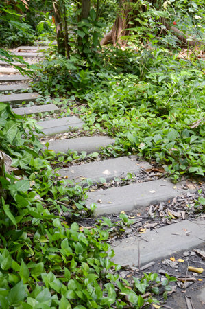 cement plate on green grass in nature garden