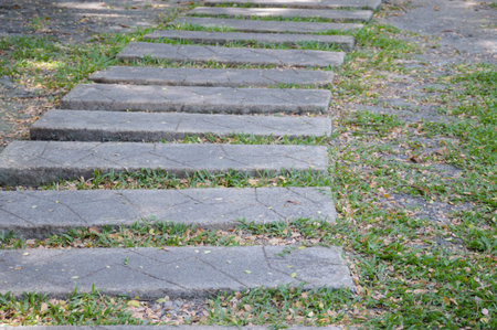 cement plate on green grass in nature gardenの写真素材