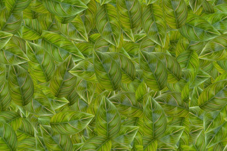 fresh green leaves pattern background
