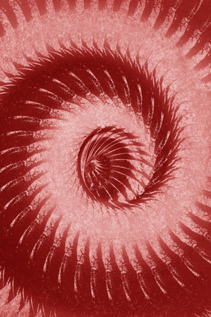 art grunge red swirl abstract pattern illustration backgroundの写真素材