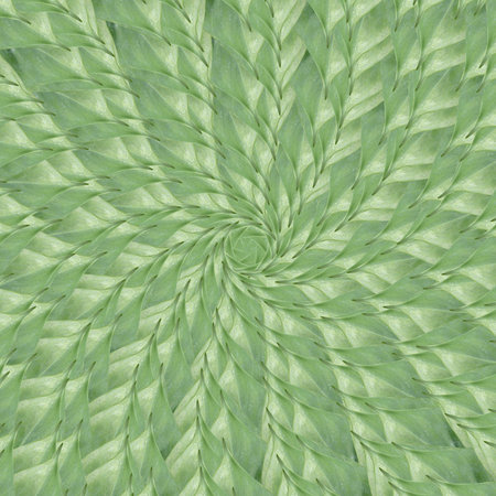 art grunge green abstract pattern backgroundの写真素材