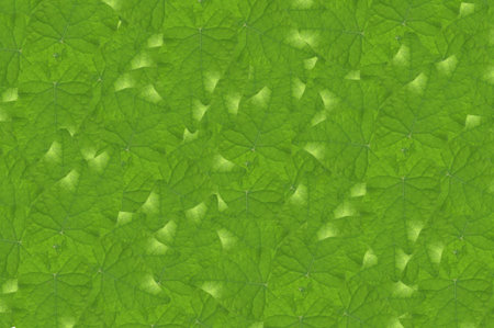 fresh green leaves pattern background