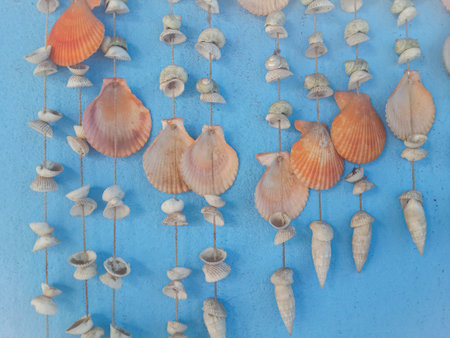 Hanging seashells chime together with every gentle breezeの写真素材