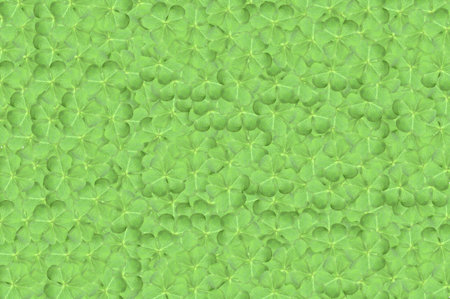 clover leaves pattern backgroundの写真素材