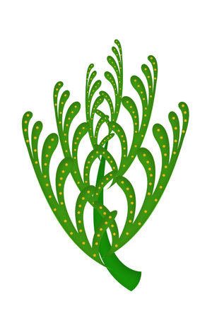 green plants illustrationの写真素材