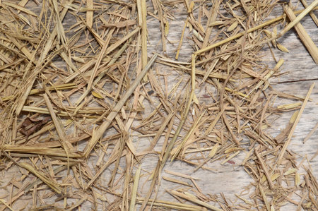 dry straw on wood floor