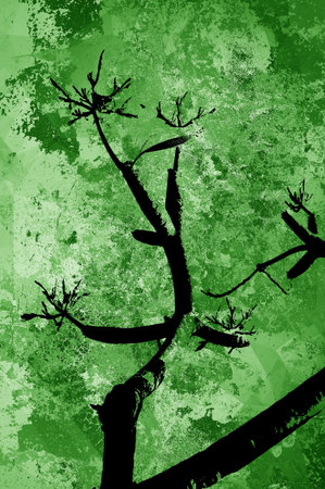 silhouette branch tree on grunge green backgroundの写真素材