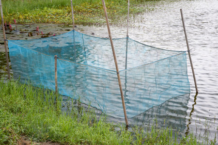 coop in fish pond at country Thailandの写真素材