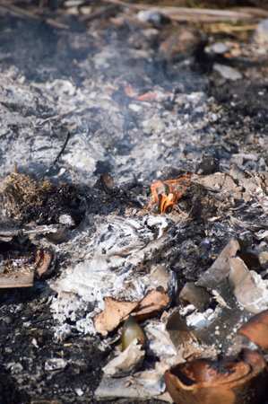 Burned charcoal and ash from fire