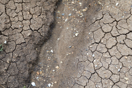 dry soil textureの写真素材