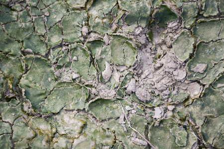 dry soil textureの写真素材