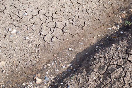 dry cracked soil texture backgroundの写真素材