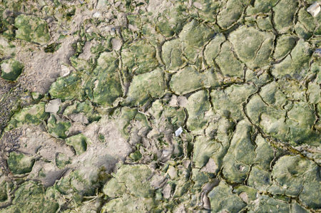 crack wet soil textureの写真素材