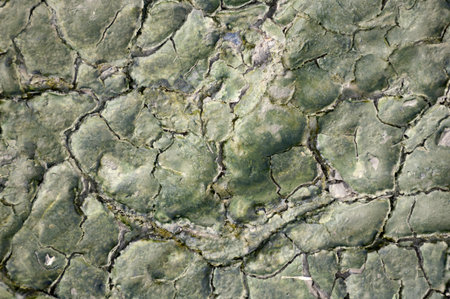 crack wet soil textureの写真素材