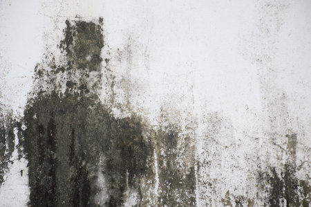 old cement wall textureの写真素材