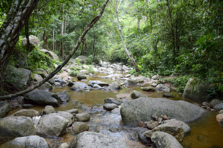 chan ta then waterfall in Bang Phra, Sriracha, Chonburi, Thailandの写真素材
