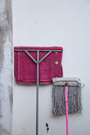 old mopsの写真素材