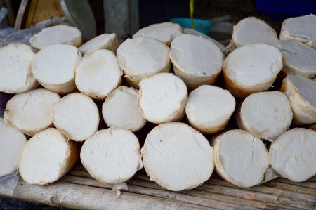 bamboo shootの写真素材