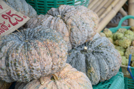 Pumpkinの写真素材