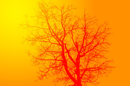 art silhouette branch tree on yellow backgroundの写真素材