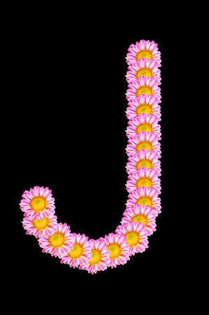 flower font - Jの写真素材