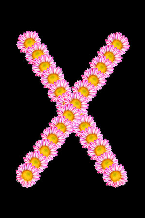 flower font - Xの写真素材