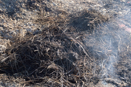 burned ash from fireの写真素材