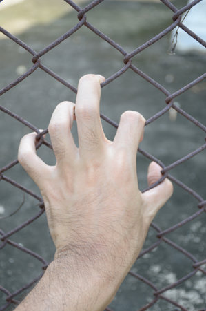 hand with metal fence, no freedomの写真素材