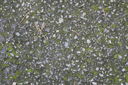 lichen on stone wall textureの写真素材