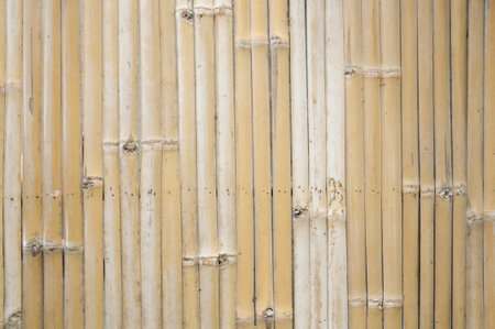 dry bamboo wall textureの写真素材