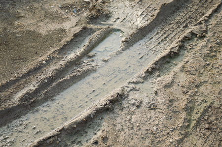 dry wheel track on dirt soil textureの写真素材