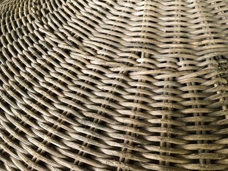 old  Divorce bambooの写真素材