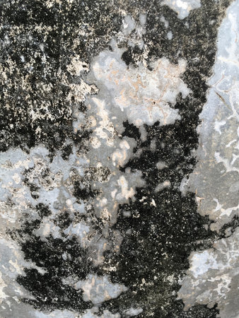 old cement wall textureの写真素材