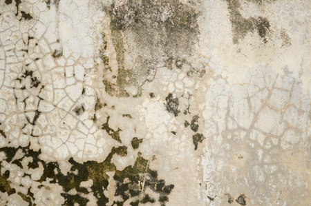 old cement wall textureの写真素材