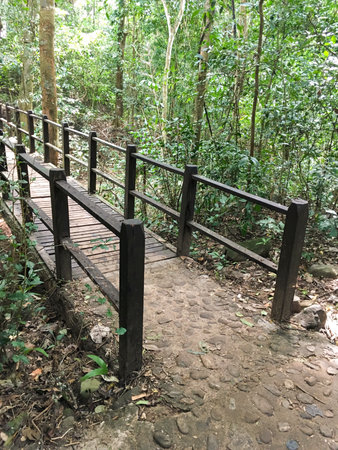 wood bridge in forest Thailand