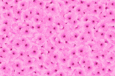 pink ruellia tuberosa flower pattern backgroundの写真素材